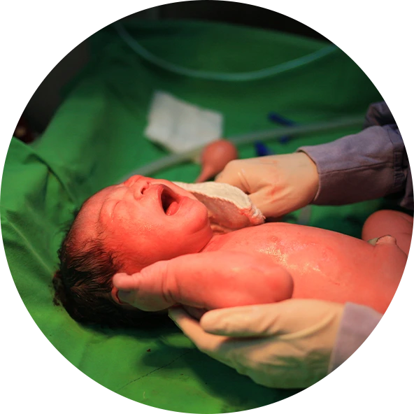 Icterícia e hematologia