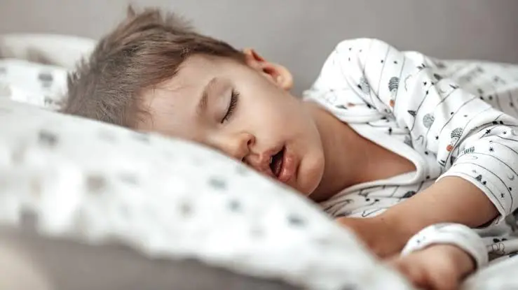 Palestra sobre tratamento da apneia do sono na criança no 42º Congresso Brasileiro de Pediatria